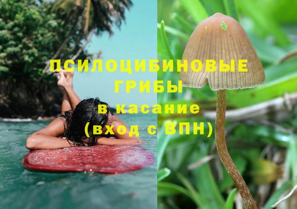трава Медногорск