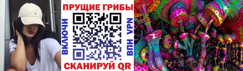 Псилоцибиновые грибы Cubensis где найти наркотики Чишмы